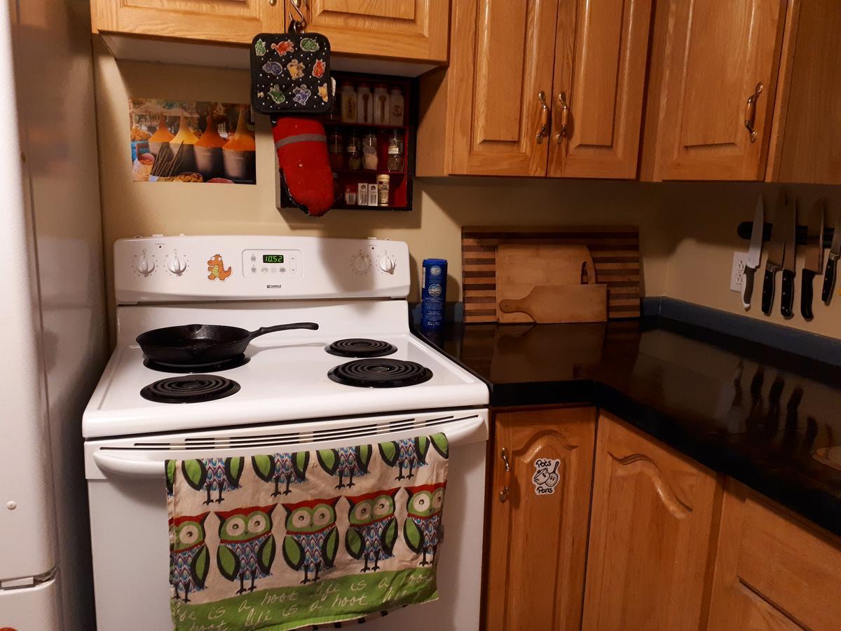 Bert Bark Inn Hostel Saint Andrews Ngoại thất bức ảnh